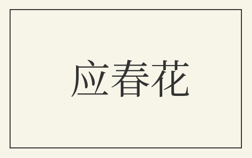 应春花