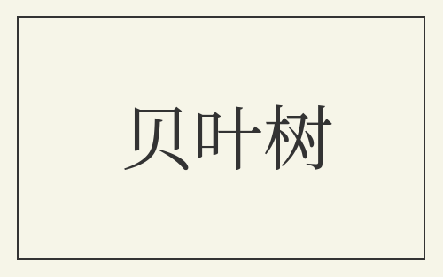 贝叶树