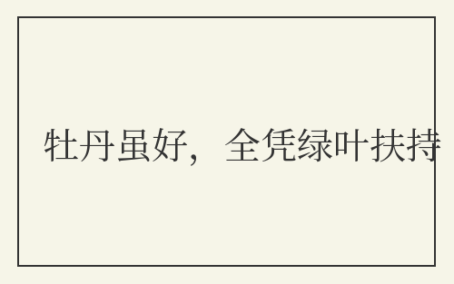 牡丹虽好，全凭绿叶扶持