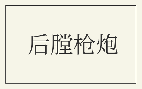 后膛枪炮