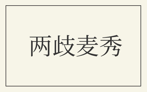 两歧麦秀