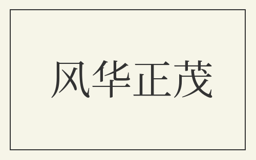 风华正茂