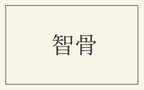 智骨