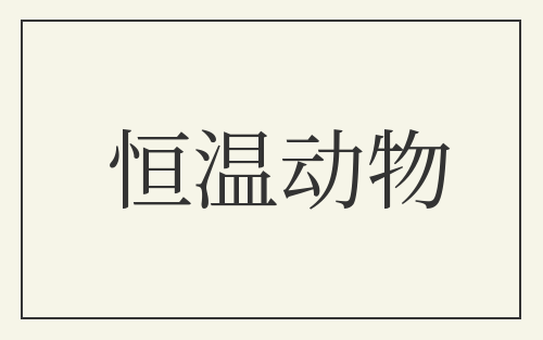 恒温动物