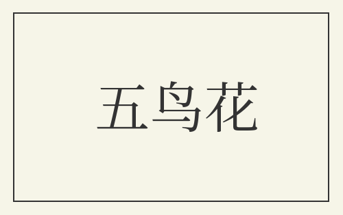 五鸟花