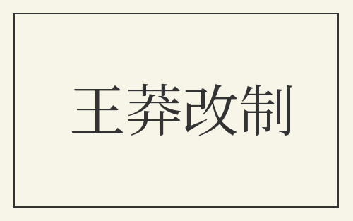 王莽改制