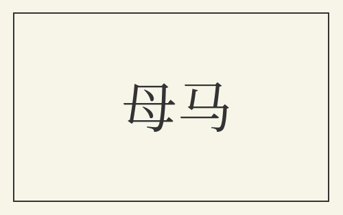 母马