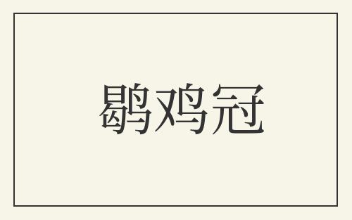 鹖鸡冠