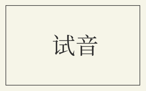 试音
