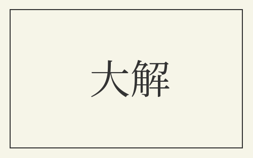 大解