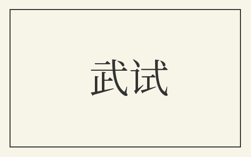 武试