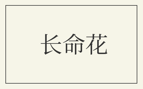 长命花