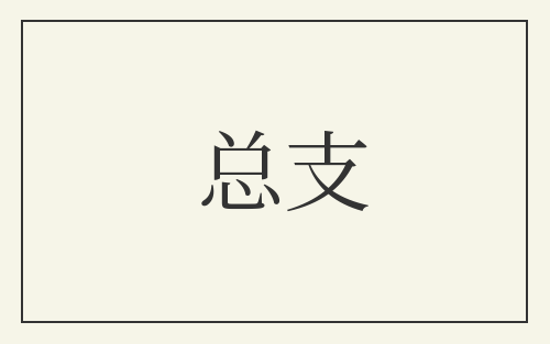 总支