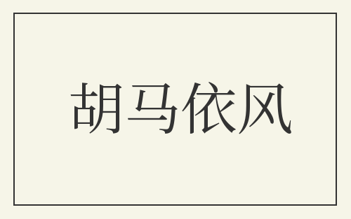 胡马依风