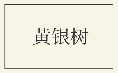 黄银树