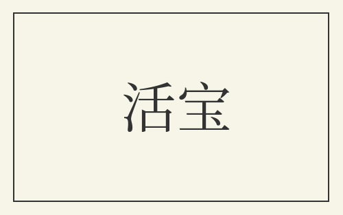 活宝