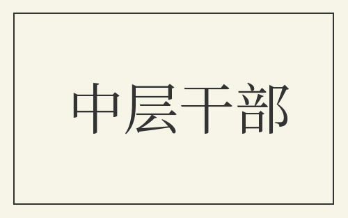 中层干部
