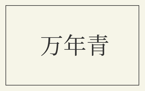 万年青