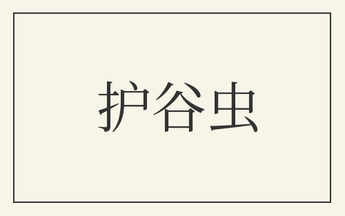 护谷虫