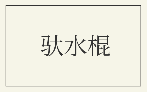 驮水棍