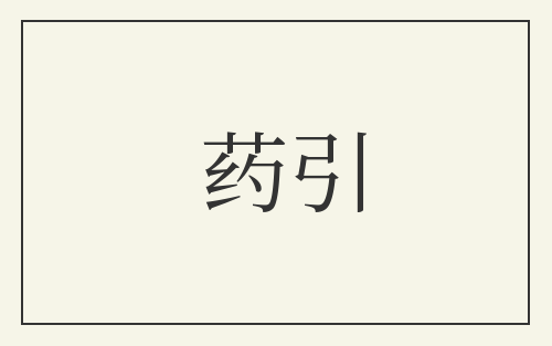 药引