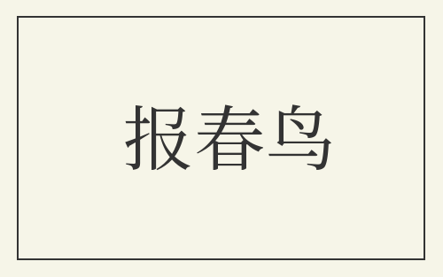 报春鸟