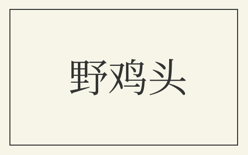 野鸡头
