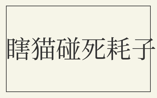 瞎猫碰死耗子