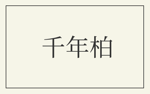 千年柏